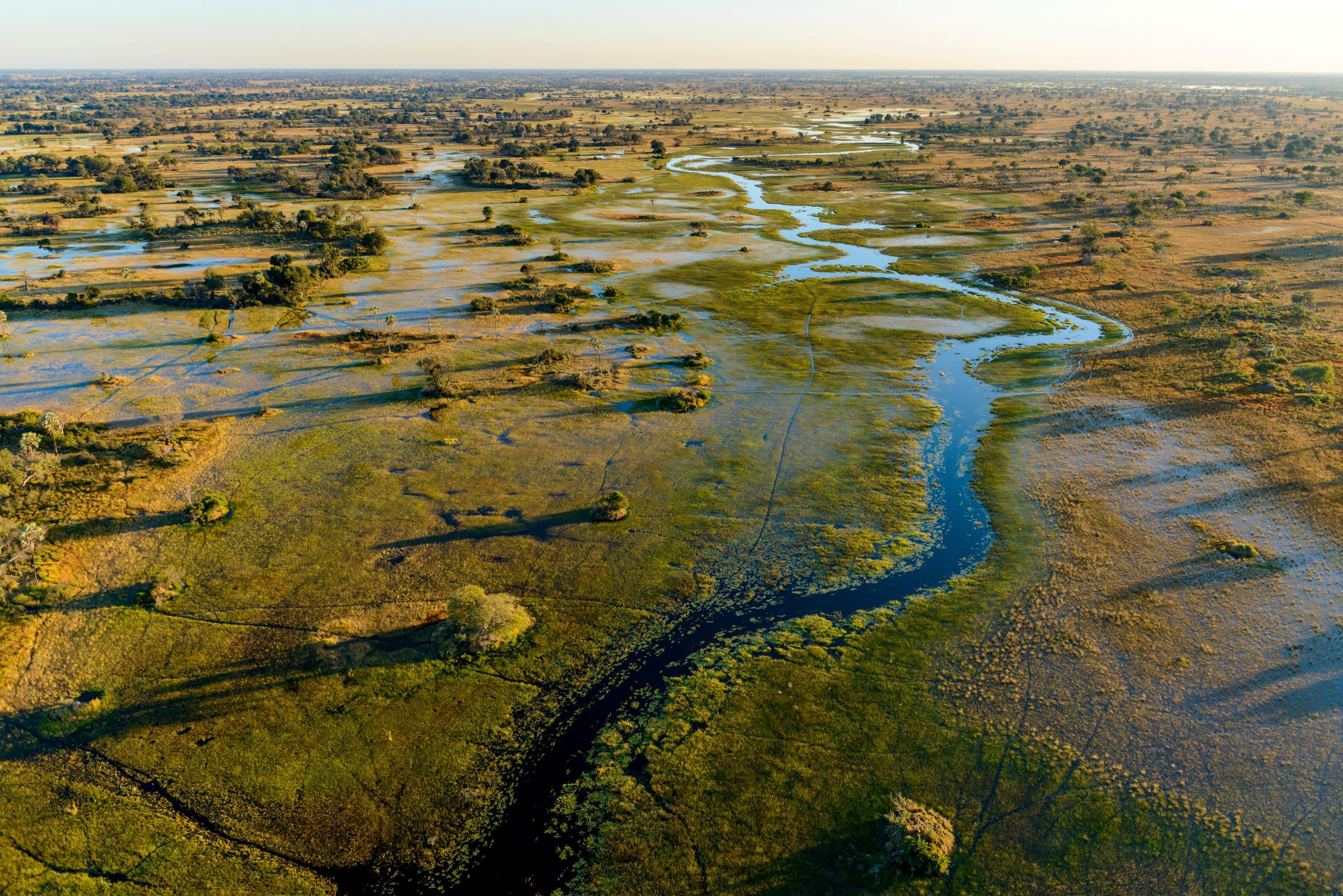 Signature itineraries - Botswana safari