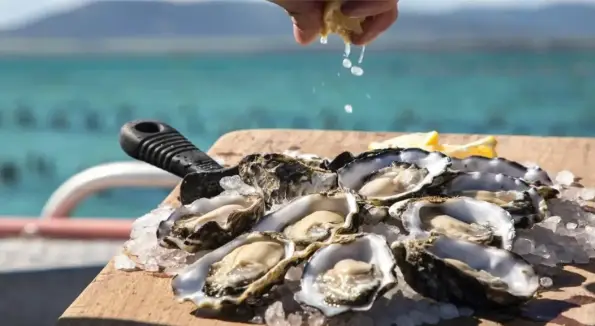 Coffin Bay Oysters