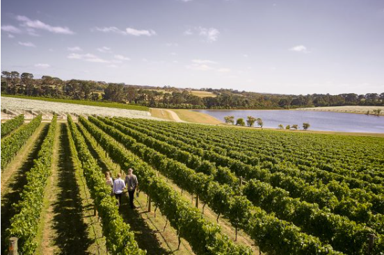 Pt Leo Winery